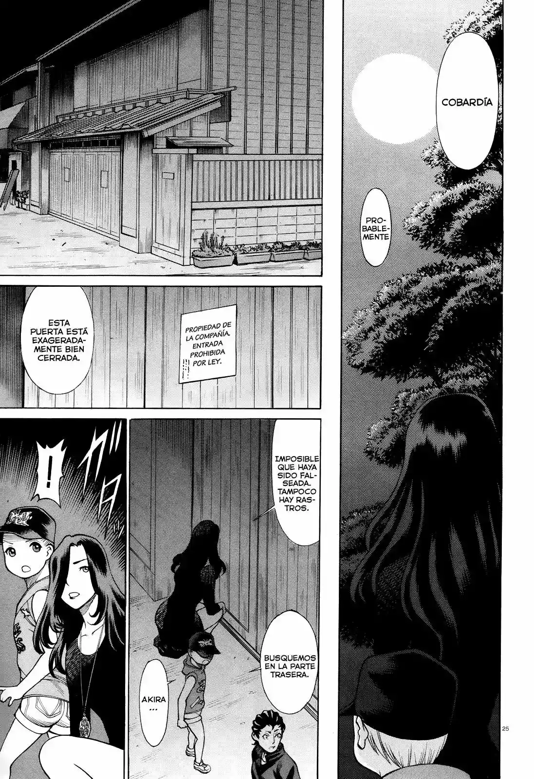 Page 25