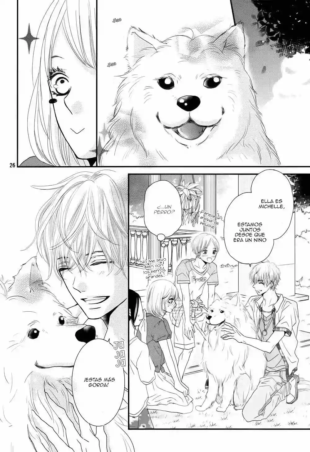 Page 26