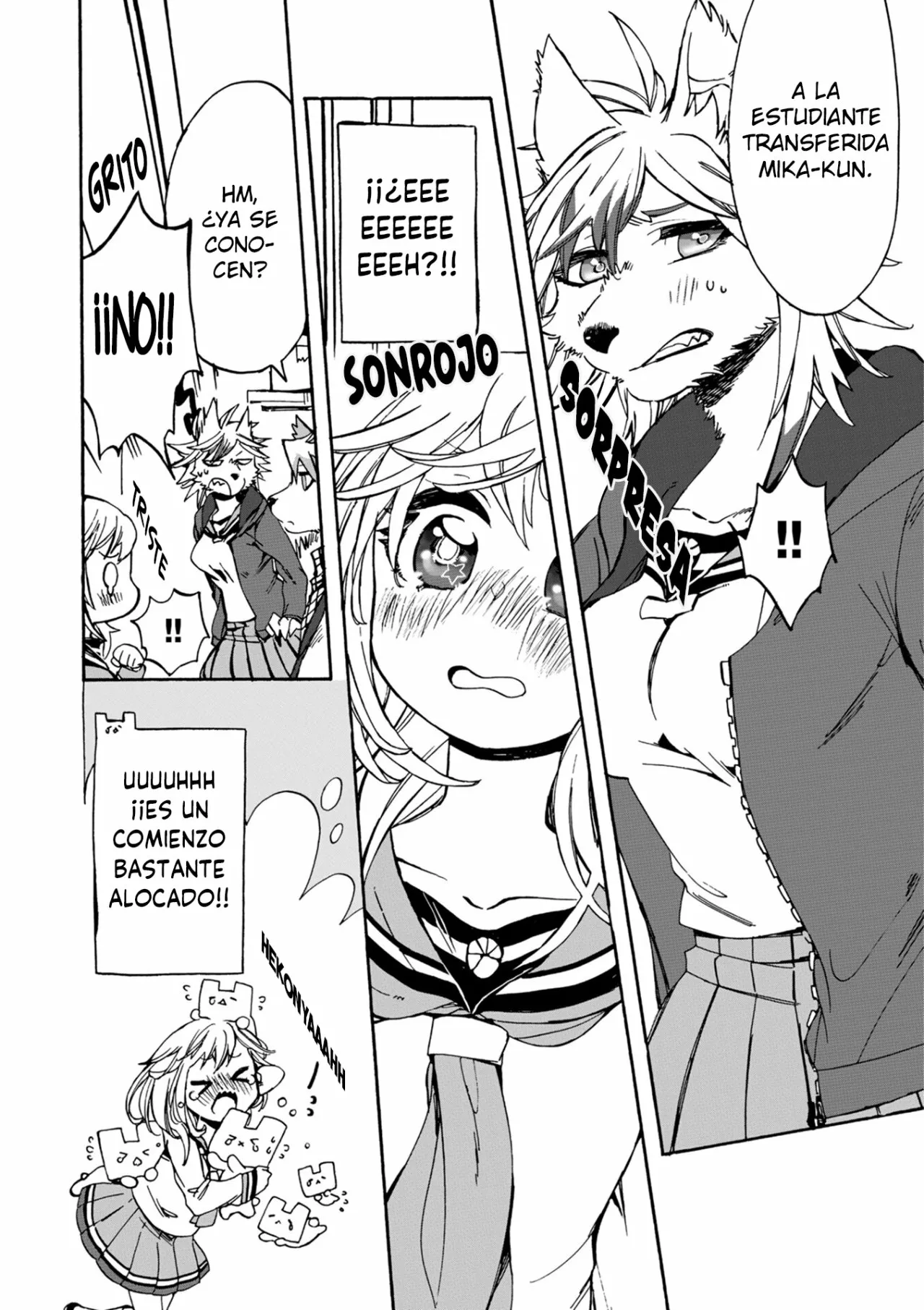 Page 41