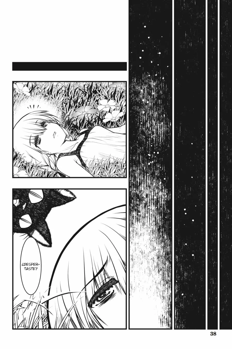 Page 38